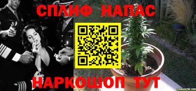мяу мяу мука Апшеронск