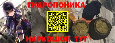 прущие крисы Абакан