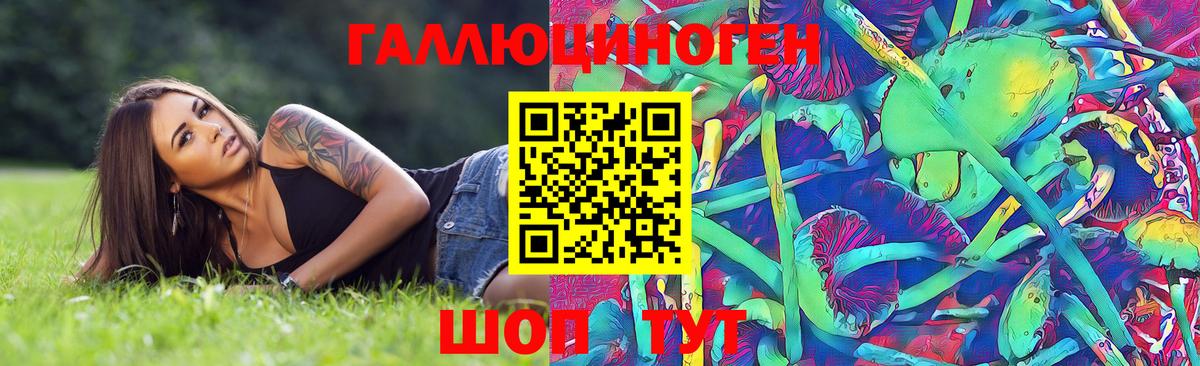 Псилоцибиновые грибы GOLDEN TEACHER Апатиты