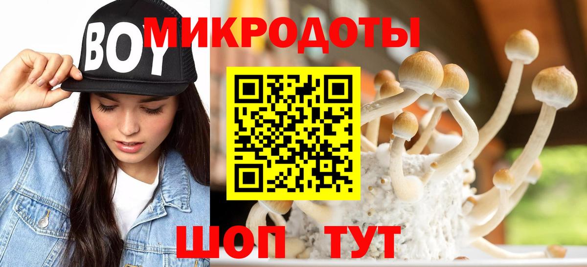 Галлюциногенные грибы Psilocybe  Галлюциногенные грибы прущие грибы  Апатиты  Вход с VPN 