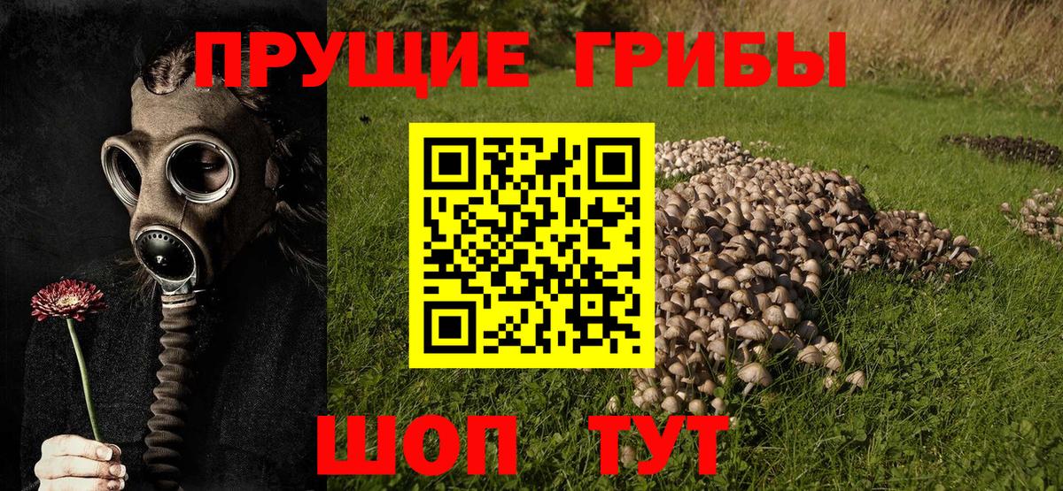 ГАШИШ  Лсд 25  Апатиты  МАРИХУАНА  МЕФ кристаллы  КОКАИН  Экстази 