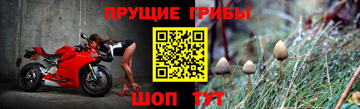 Псилоцибиновые грибы мицелий  Псилоцибиновые грибы Magic Shrooms  Апатиты 