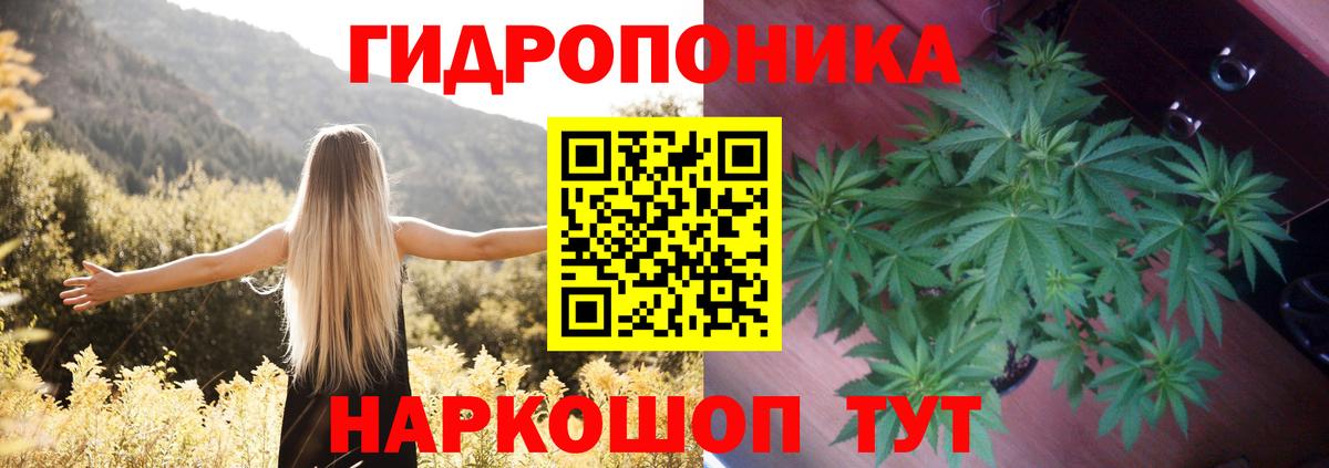 Шишки марихуана семена  Шишки марихуана Bruce Banner  Марихуана тримм  Канабис планчик  Вход с VPN  Апатиты 